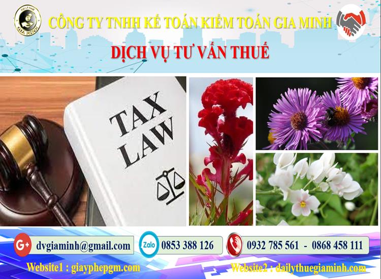 Dịch vụ tư vấn thuế tại Quảng Ninh