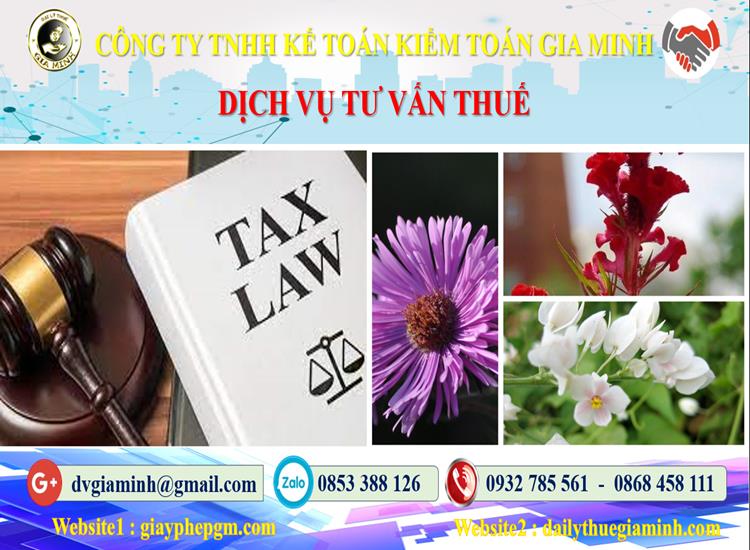 Dịch vụ tư vấn thuế tại Tây Ninh