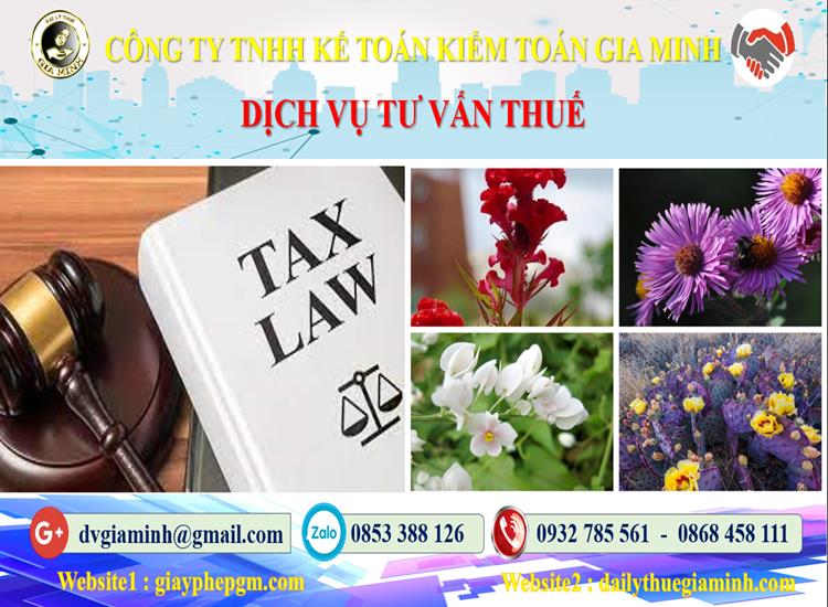Dịch vụ tư vấn thuế tại Thanh Hoá