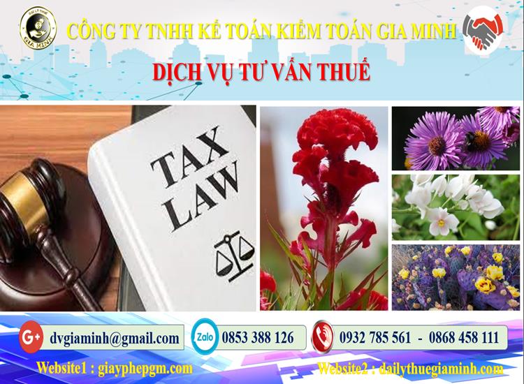 Dịch vụ tư vấn thuế tại Thành Phố Đà Nẵng