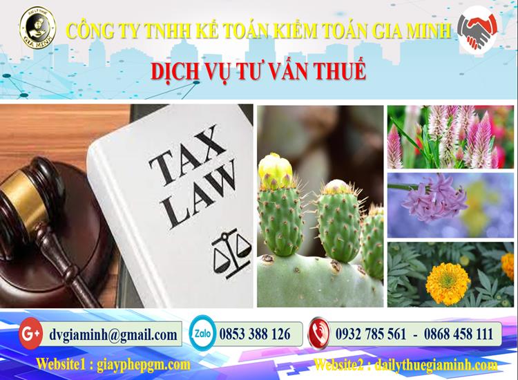 Dịch vụ tư vấn thuế tại Thành Phố Hà Nội