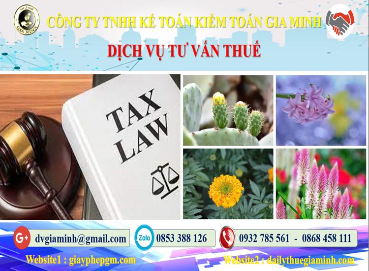 Dịch vụ tư vấn thuế tại Thành Phố Hồ Chí Minh