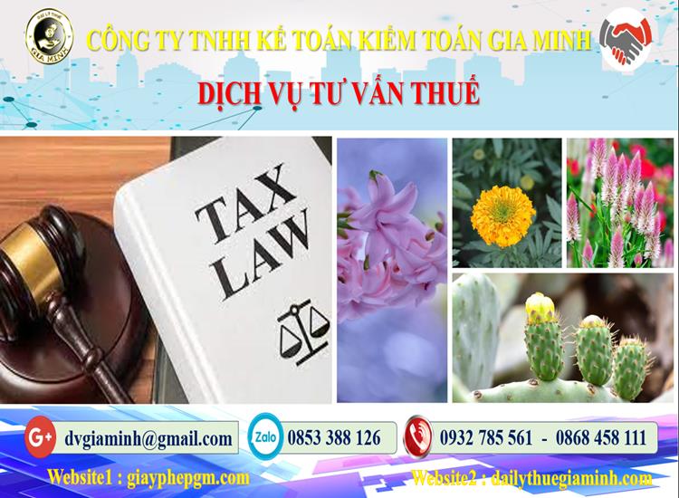 Dịch vụ tư vấn thuế tại Thị Xã Sơn Tây