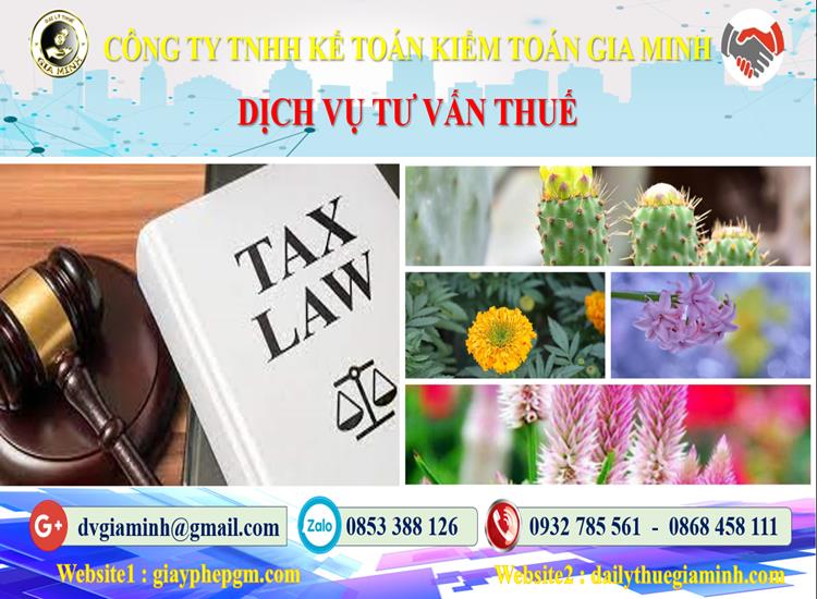 Dịch vụ tư vấn thuế tại Thừa Thiên Huế