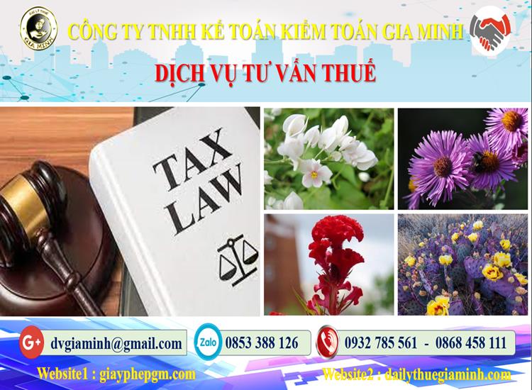 Dịch vụ tư vấn thuế tại Tiền Giang