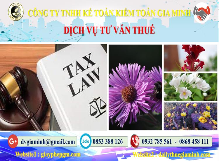 Dịch vụ tư vấn thuế tại TP Đà Nẵng