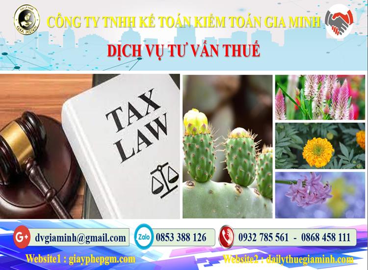 Dịch vụ tư vấn thuế tại TP Hà Nội