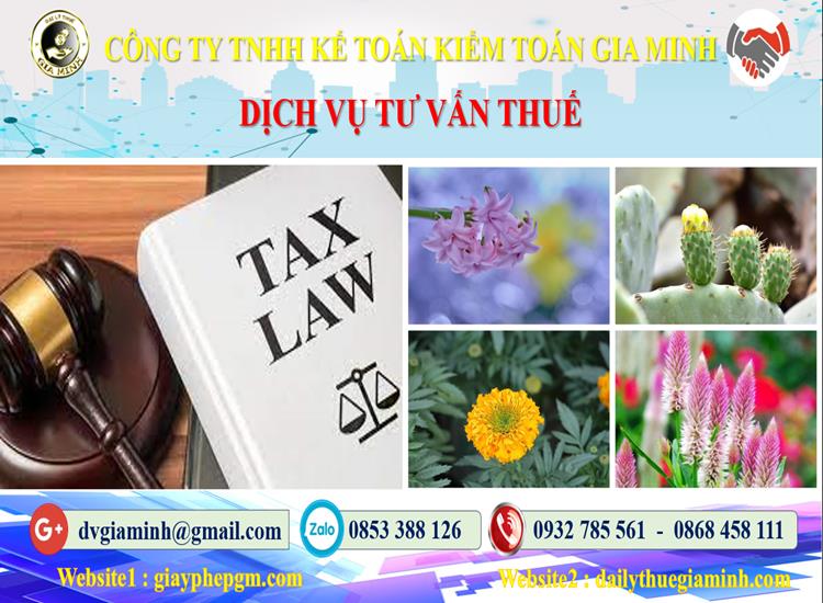 Dịch vụ tư vấn thuế tại TP Hồ Chí Minh