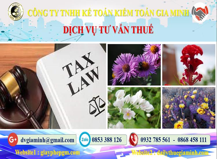 Dịch vụ tư vấn thuế tại Tuyên Quang