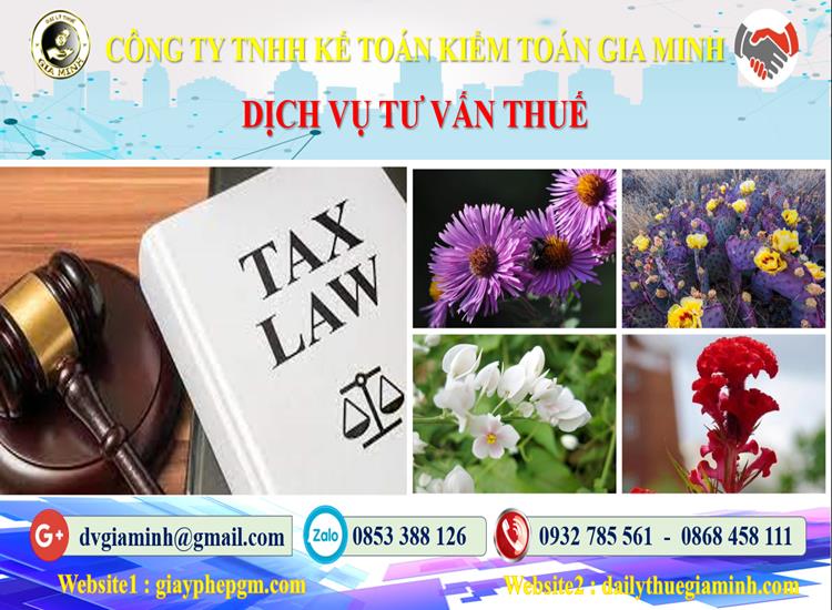 Dịch vụ tư vấn thuế tại Vĩnh Long
