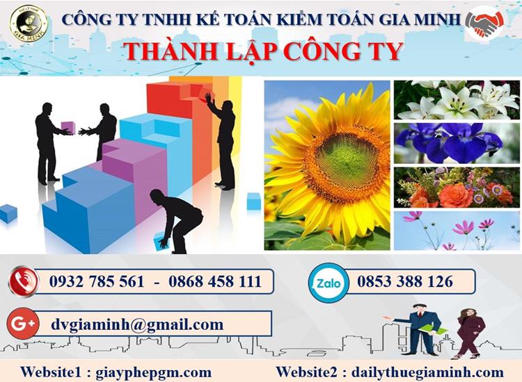 Thủ tục thành lập công ty dược phẩm tại Bắc Giang