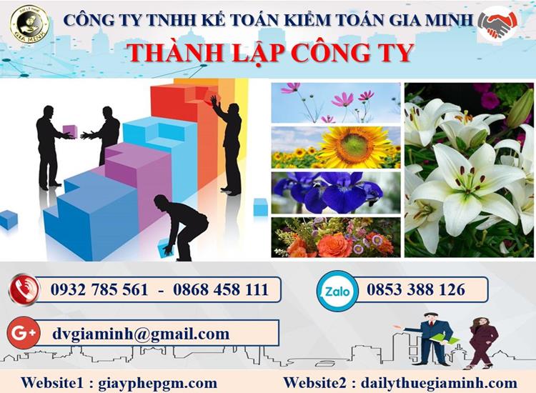 Thủ tục thành lập công ty dược phẩm tại Bình Định