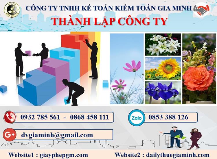 Thủ tục thành lập công ty dược phẩm tại Hà Giang