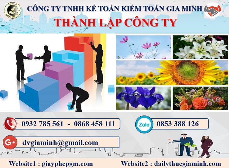 Thủ tục thành lập công ty dược phẩm tại Hà Nội
