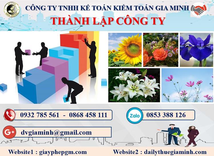 Thủ tục thành lập công ty dược phẩm tại Huyện Mê Linh