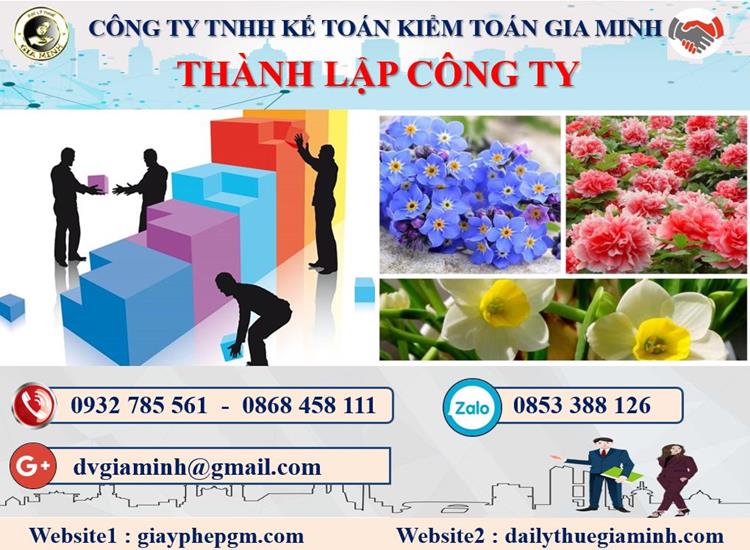 Thủ tục thành lập công ty dược phẩm tại Kiên Giang
