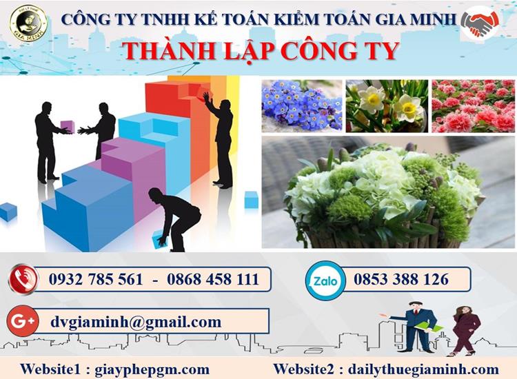 Thủ tục thành lập công ty dược phẩm tại Quảng Bình