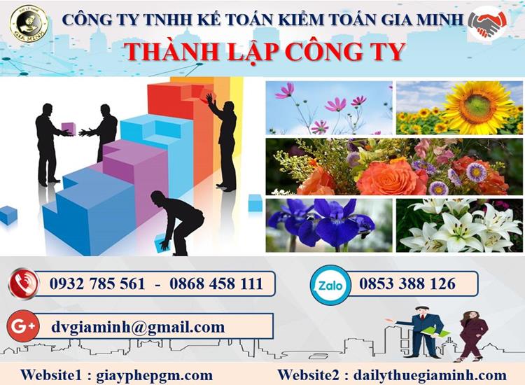 Thủ tục thành lập công ty dược phẩm tại Thành phố Hà Nội