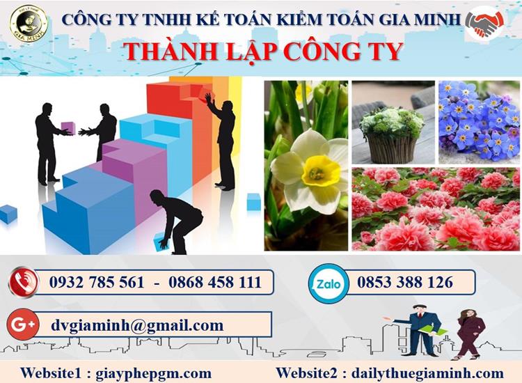 Thủ tục thành lập công ty dược phẩm tại Tuyên Quang