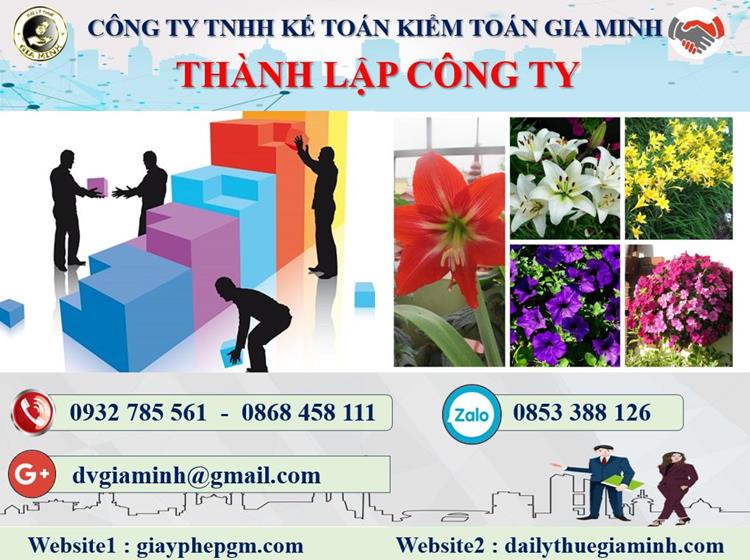 Thủ tục thành lập công ty kinh doanh nội thất tại Đà Nẵng