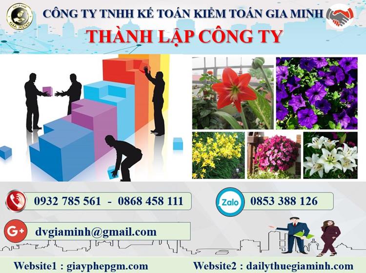 Thủ tục thành lập công ty kinh doanh nội thất tại Lâm Đồng