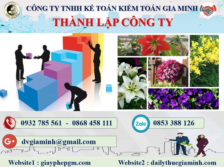 Thủ tục thành lập công ty kinh doanh nội thất tại Lạng Sơn