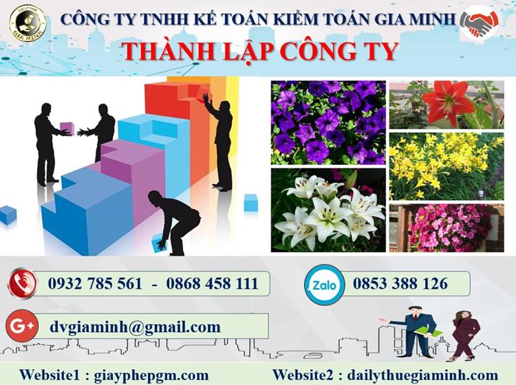 Thủ tục thành lập công ty kinh doanh nội thất tại Ninh Bình