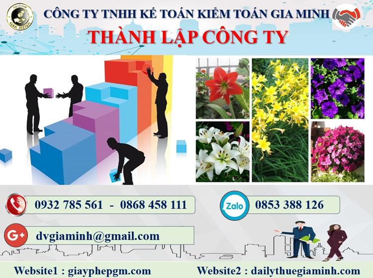 Thủ tục thành lập công ty kinh doanh nội thất tại Thái Bình