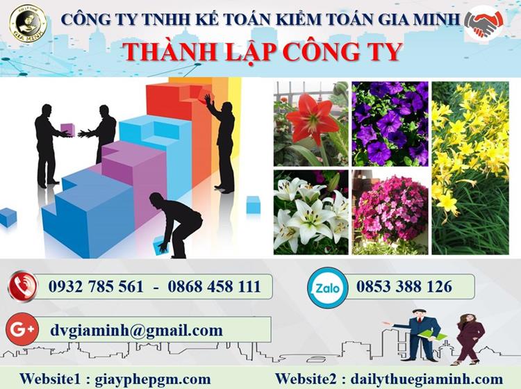 Thủ tục thành lập công ty kinh doanh nội thất tại Thành Phố Đà Nẵng