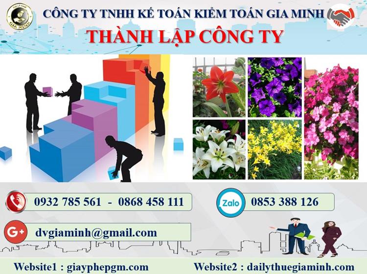 Thủ tục thành lập công ty kinh doanh nội thất tại TP Đà Nẵng