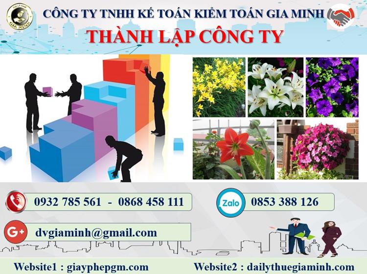 Thủ tục thành lập công ty kinh doanh nội thất tại Tuyên Quang