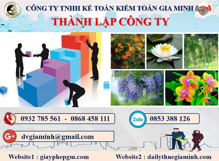 Thủ tục tư vấn thành lập doanh nghiệp tại An Giang