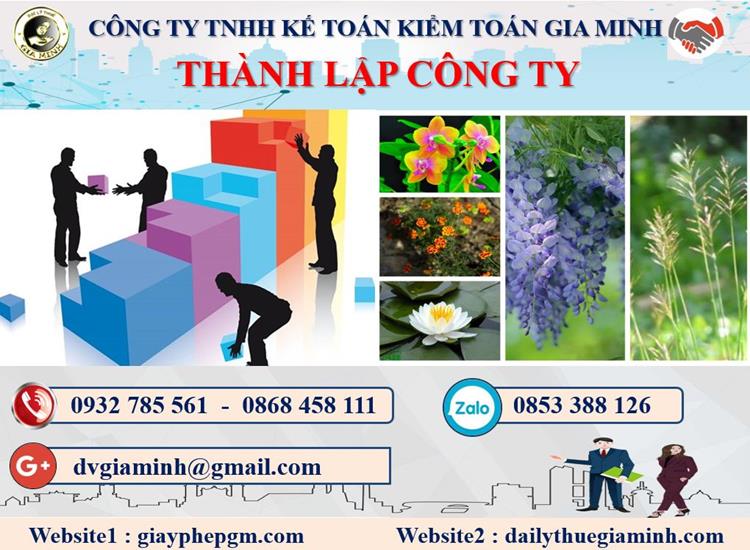 Thủ tục tư vấn thành lập doanh nghiệp tại Đồng Tháp