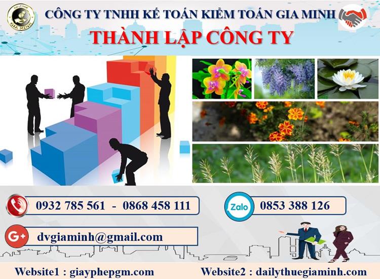Thủ tục tư vấn thành lập doanh nghiệp tại Hậu Giang