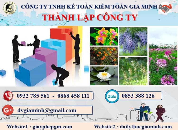 Thủ tục tư vấn thành lập doanh nghiệp tại Huyện Mê Linh