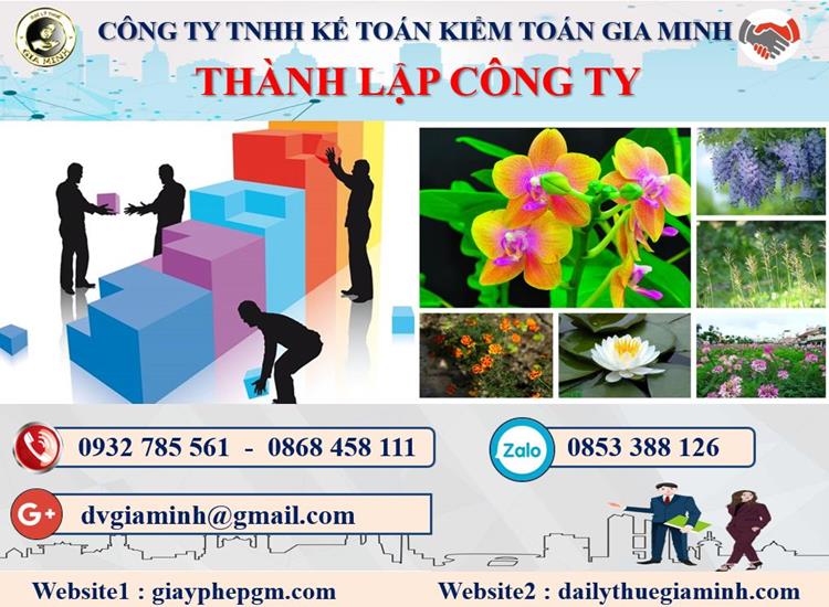 Thủ tục tư vấn thành lập doanh nghiệp tại Huyện Thanh Oai
