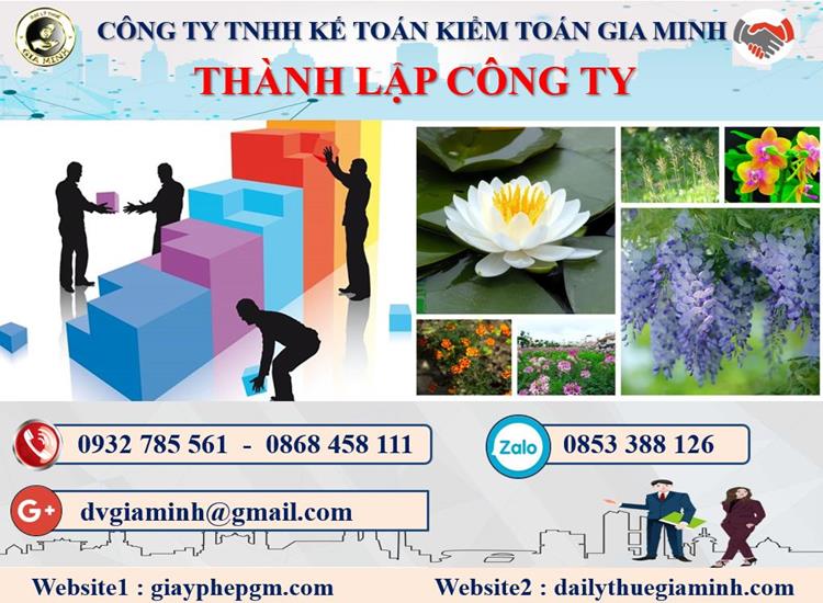 Thủ tục tư vấn thành lập doanh nghiệp tại Quận Bình Tân