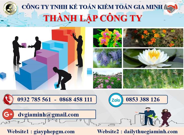 Thủ tục tư vấn thành lập doanh nghiệp tại Quận Tân Bình