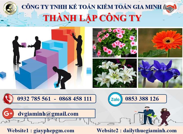 Thủ tục tư vấn thành lập doanh nghiệp tại Thanh Hóa