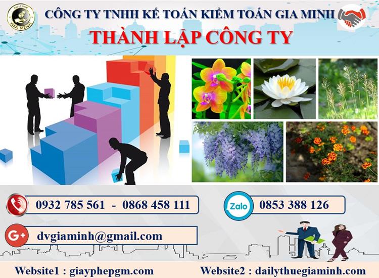 Thủ tục tư vấn thành lập doanh nghiệp tại Thị Xã Sơn Tây