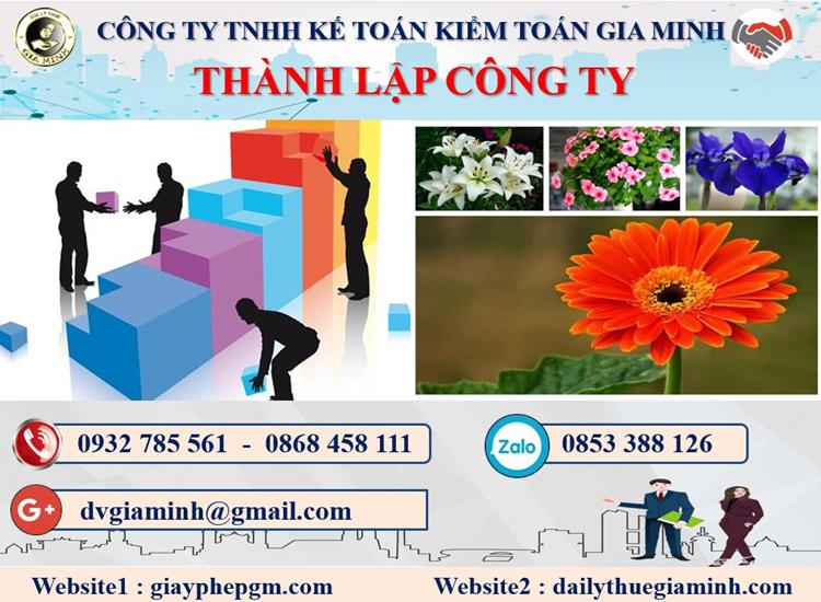 Tư vấn thành lập doanh nghiệp tại TP Hải Phòng Thủ tục tư vấn thành lập doanh nghiệp tại TP Hải Phòng