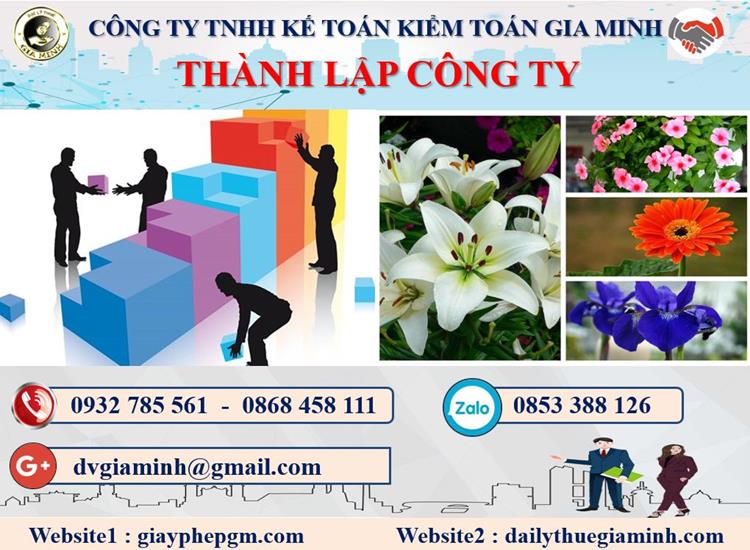 Thủ tục tư vấn thành lập doanh nghiệp tại Tuyên Quang