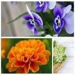 Tìm dịch vụ thành lập công ty ở Bà Rịa Vũng Tàu