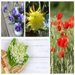 Tìm dịch vụ thành lập công ty ở Huyện Phong Điền