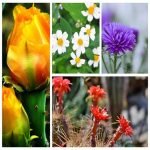 Tìm dịch vụ tư vấn thuế tại Huyện Vĩnh Thạnh