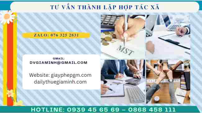 Tư vấn thành lập hợp tác xã tại Cần Thơ Tư vấn thành lập hợp tác xã tại Cần Thơ